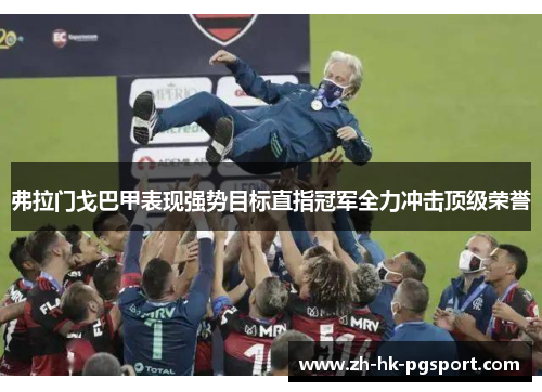 弗拉门戈巴甲表现强势目标直指冠军全力冲击顶级荣誉