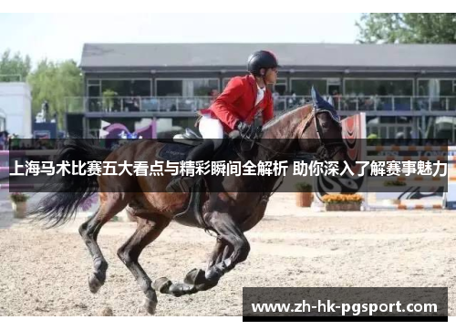 上海马术比赛五大看点与精彩瞬间全解析 助你深入了解赛事魅力