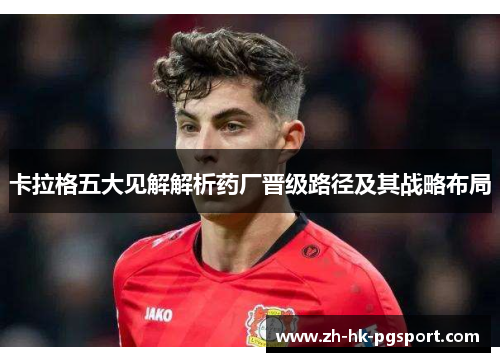 卡拉格五大见解解析药厂晋级路径及其战略布局