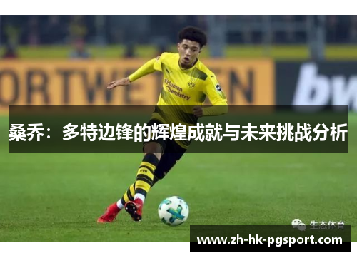 桑乔：多特边锋的辉煌成就与未来挑战分析