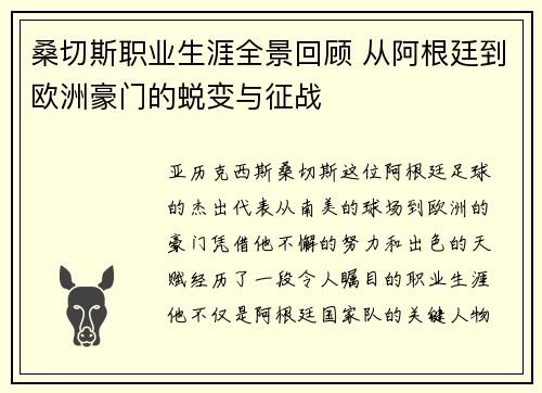 桑切斯职业生涯全景回顾 从阿根廷到欧洲豪门的蜕变与征战